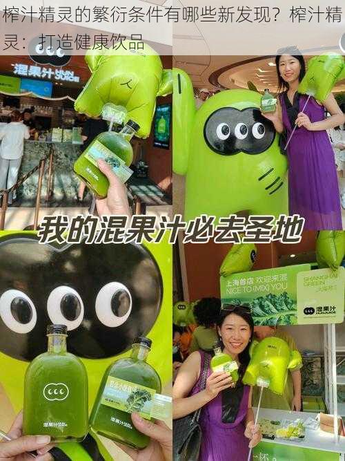 榨汁精灵的繁衍条件有哪些新发现?榨汁精灵:打造健康饮品