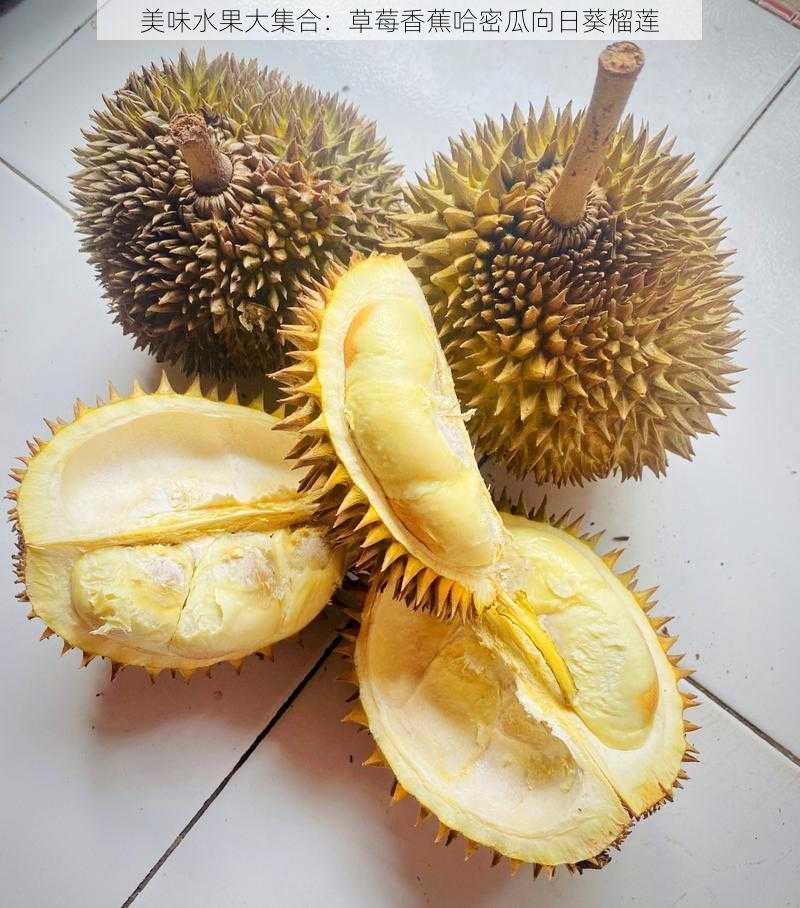 美味水果大集合:草莓香蕉哈密瓜向日葵榴莲