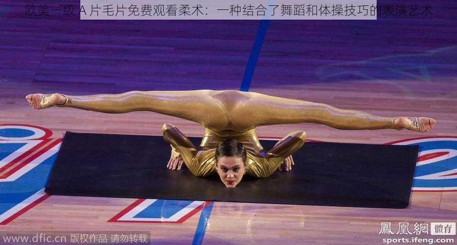 欧美一级 A 片毛片免费观看柔术:一种结合了舞蹈和体操技巧的表演艺术